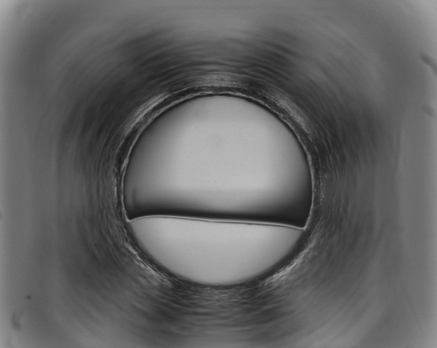 X0000098120829200804040822