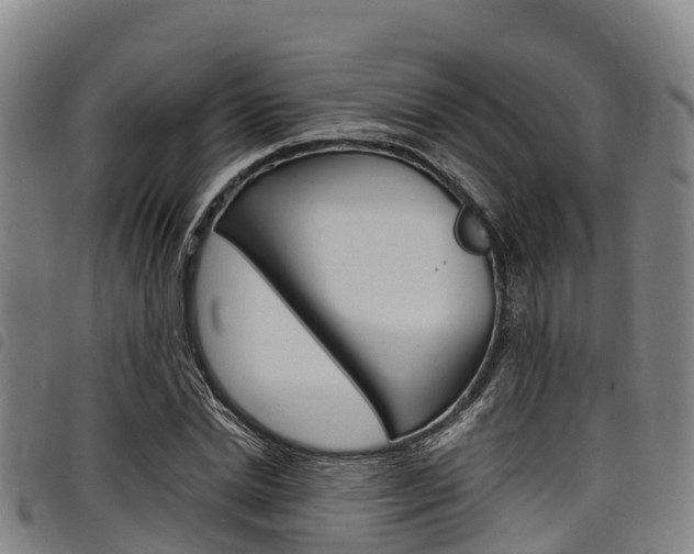 X0000098120830200804040822