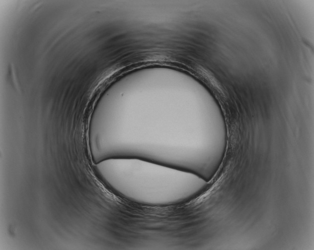 X0000098120831200804040822