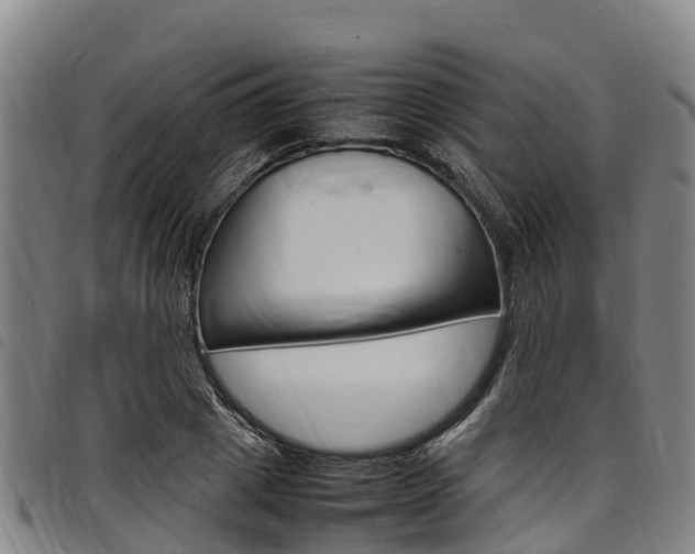 X0000098120833200804040822