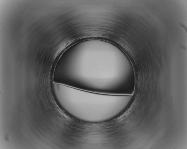 X0000098120834200804040822