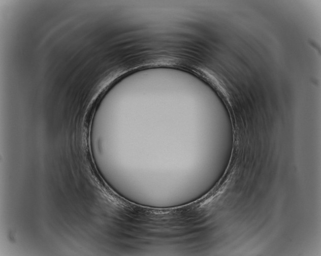 X0000098120835200804040822