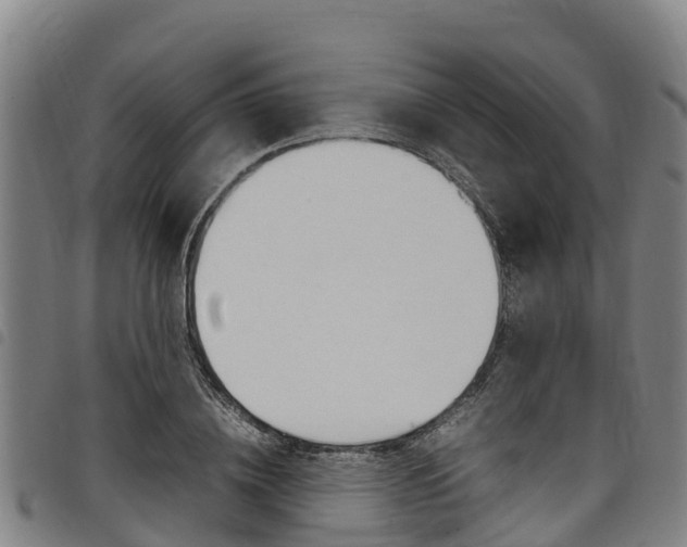 X0000098120836200804040822