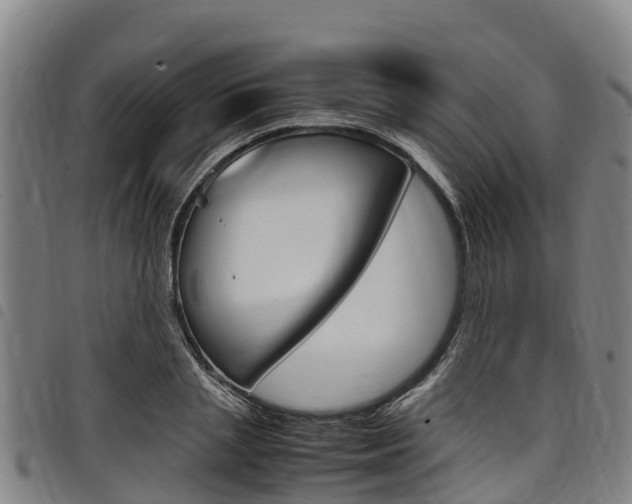 X0000098120837200804040822