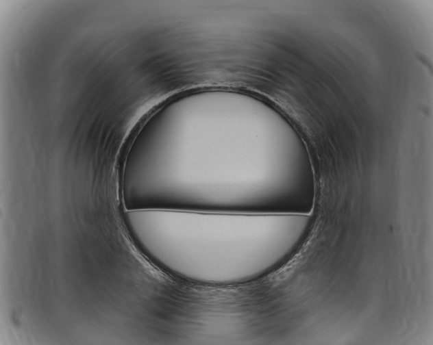 X0000098120838200804040822