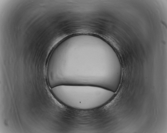 X0000098120839200804040822