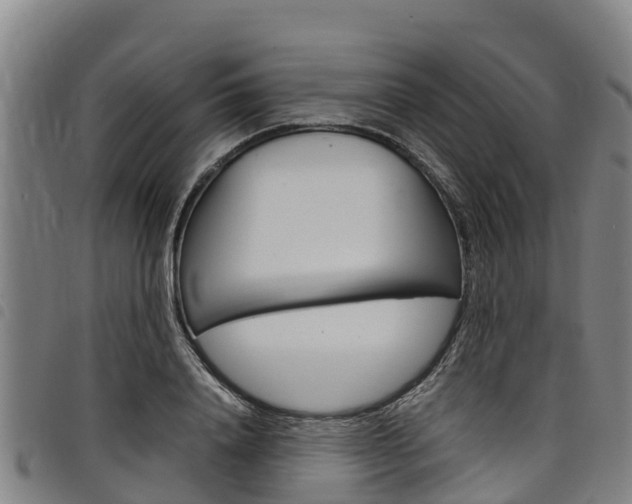 X0000098120840200804040822