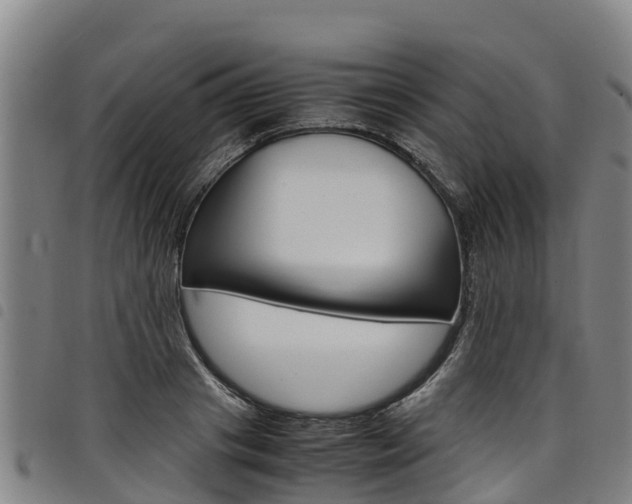 X0000098120841200804040822