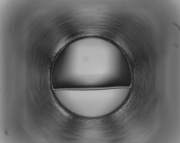 X0000098120842200804040822