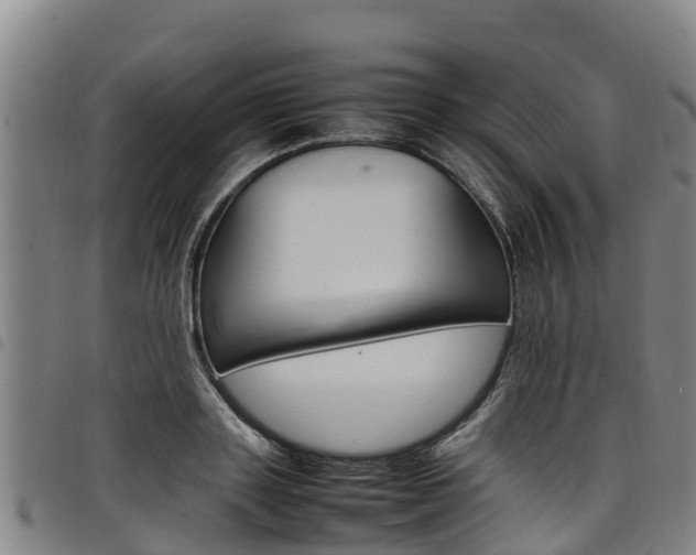 X0000098120843200804040822