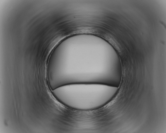 X0000098120844200804040822