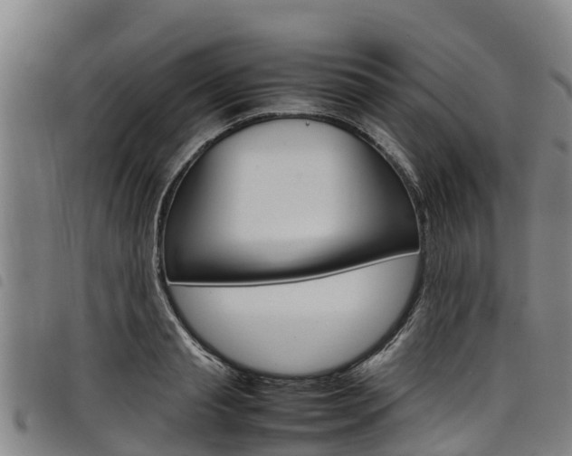 X0000098120845200804040822