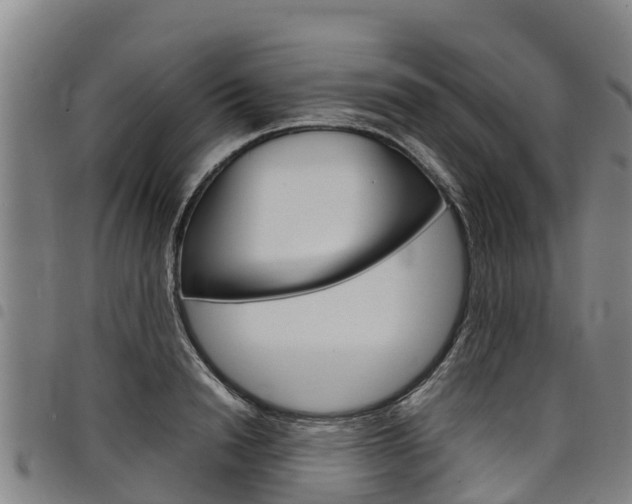 X0000098120846200804040822