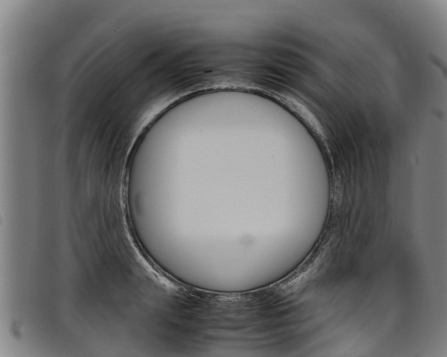 X0000098120847200804040822