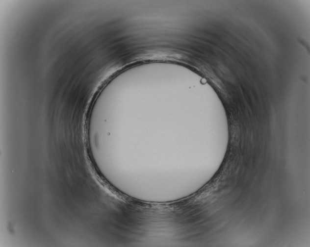 X0000098120848200804040822