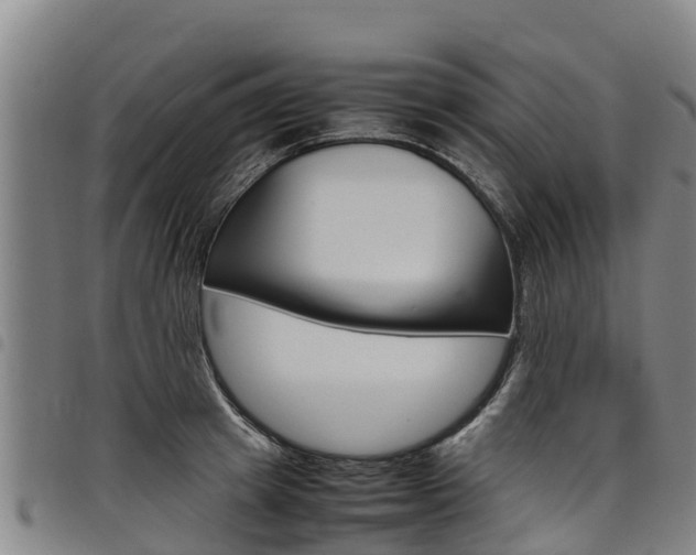 X0000098120849200804040822