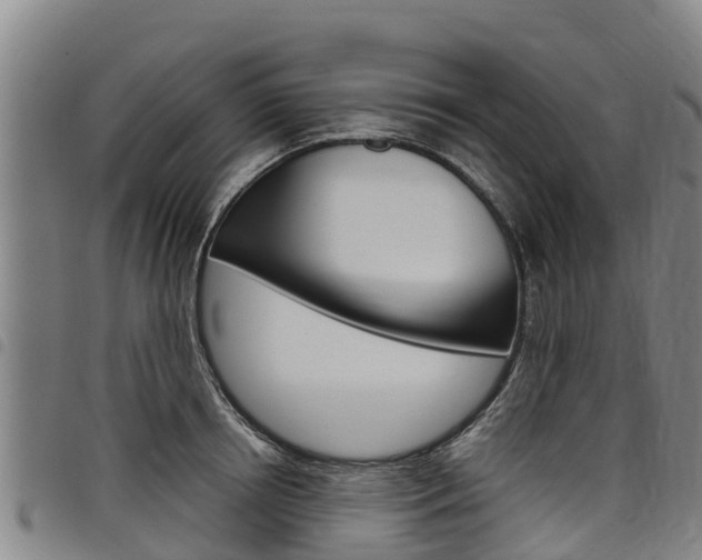 X0000098120850200804040822