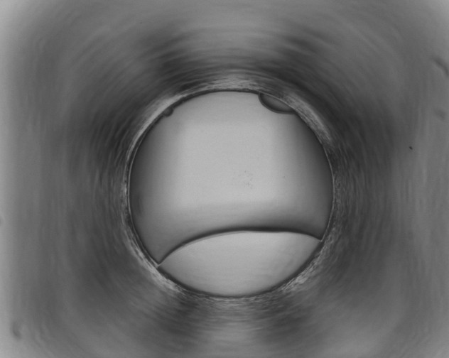 X0000098120852200804040822