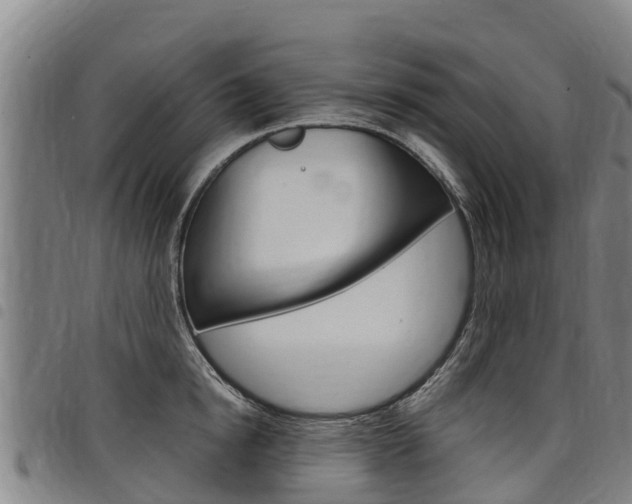 X0000098120854200804040822