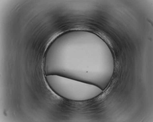 X0000098120855200804040822
