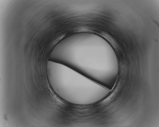 X0000098120857200804040822