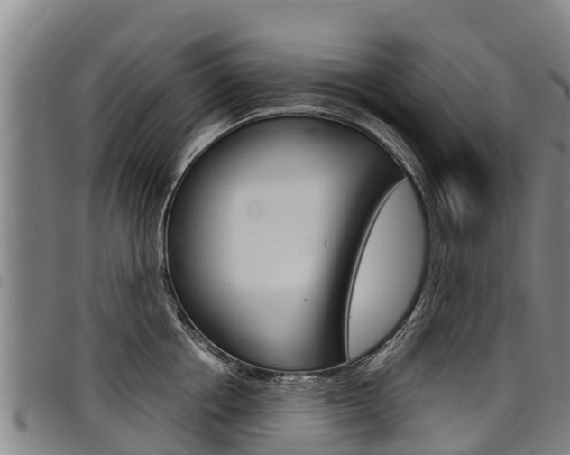 X0000098120858200804040822