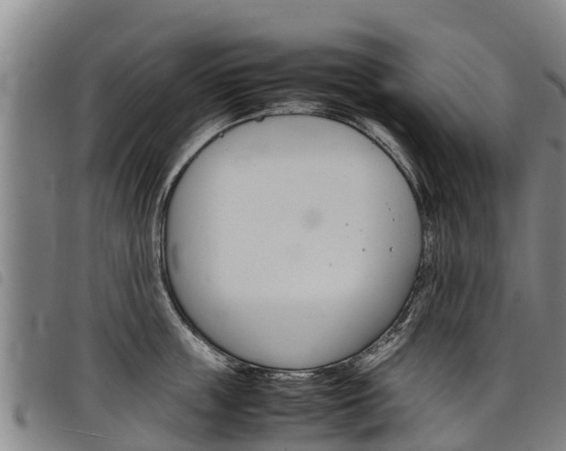 X0000098120859200804040822