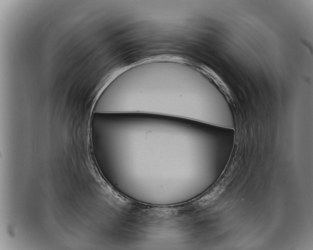 X0000098120860200804040822