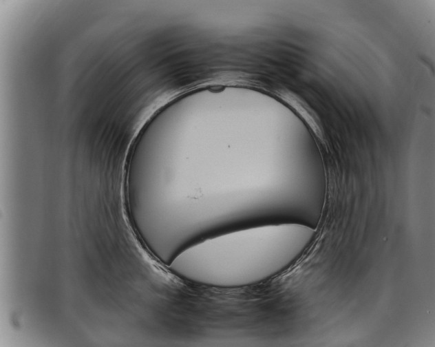 X0000098120861200804040822