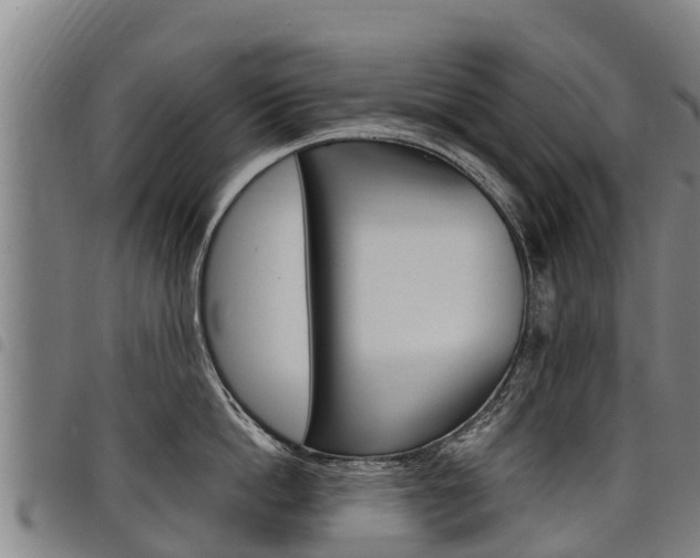X0000098120862200804040822