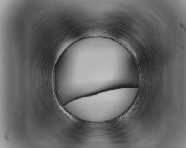 X0000098120863200804040822