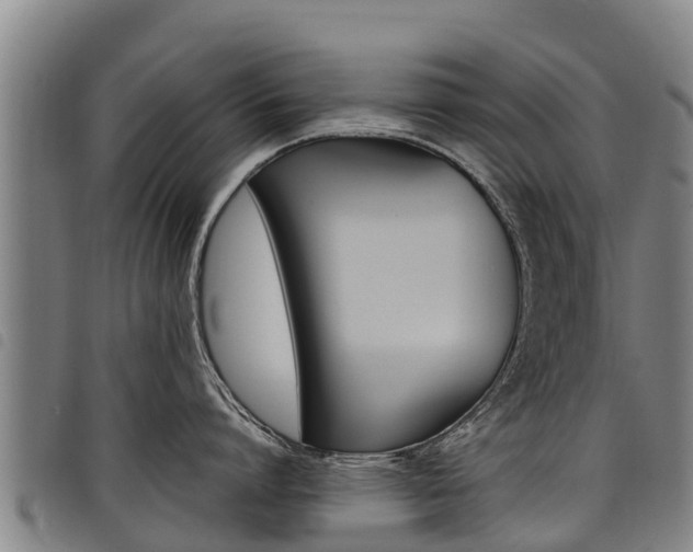 X0000098120864200804040822