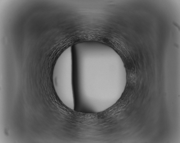 X0000098120865200804040822