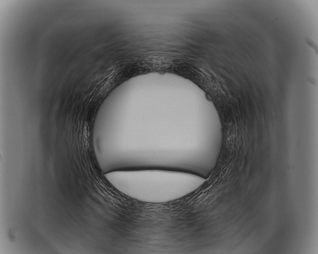 X0000098120866200804040822