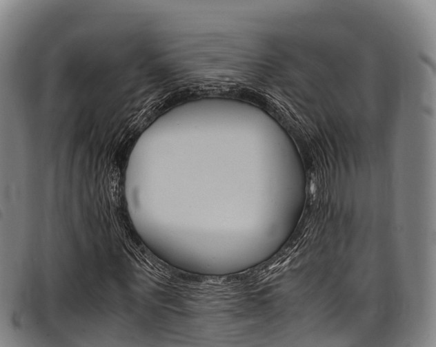 X0000098120867200804040822