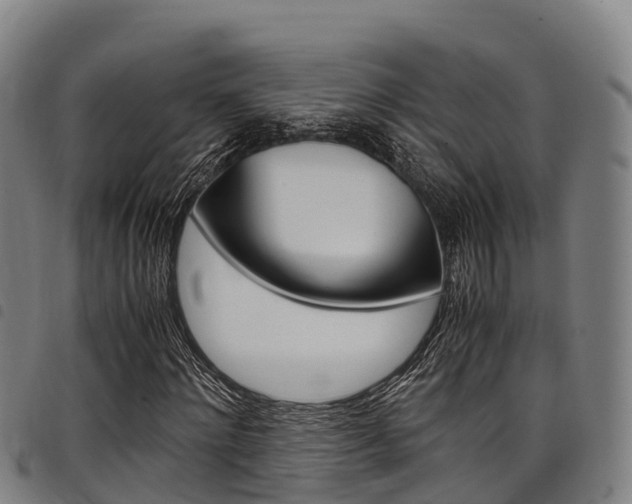 X0000098120868200804040822