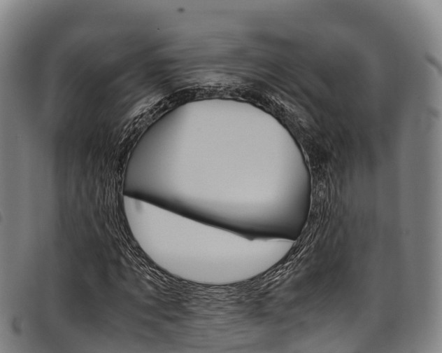 X0000098120869200804040822