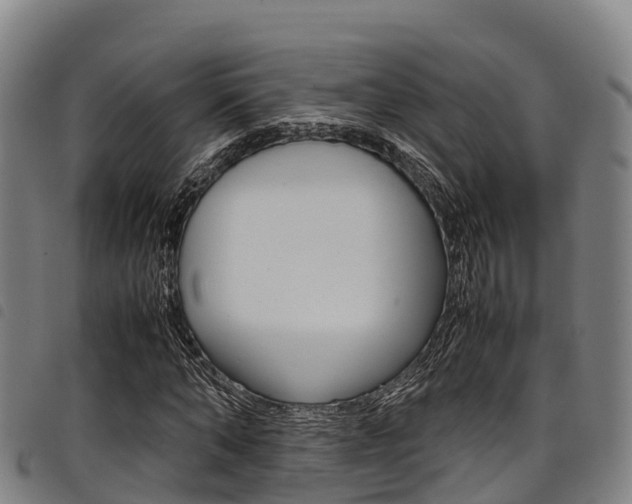 X0000098120870200804040822
