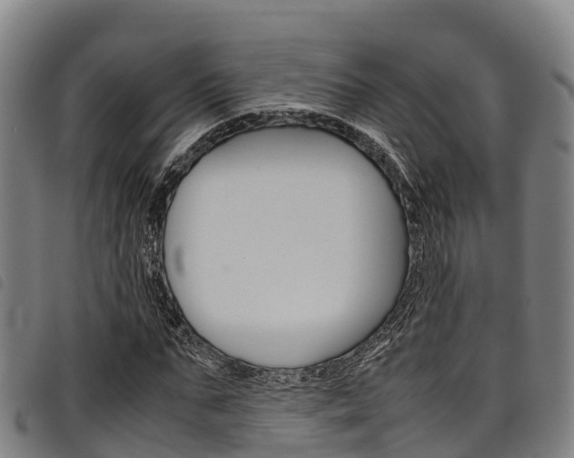 X0000098120871200804040822