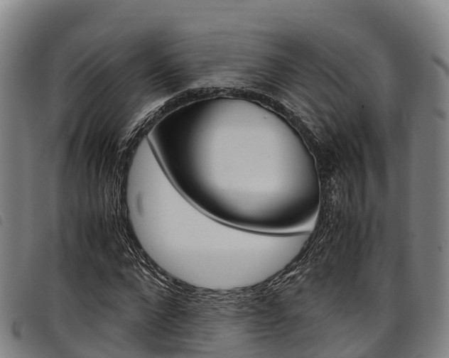 X0000098120872200804040822