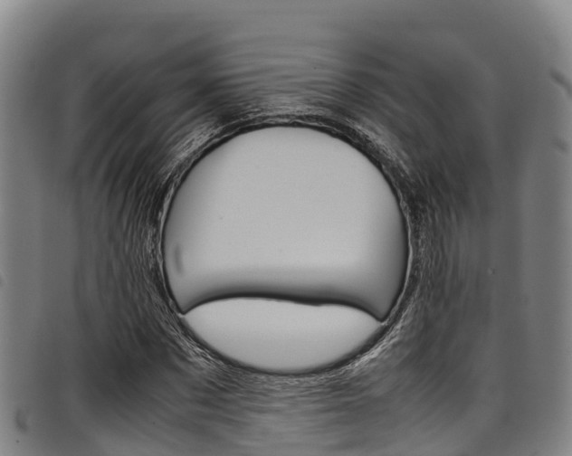 X0000098120873200804040821