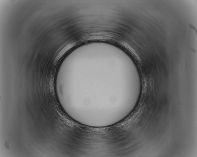 X0000098120874200804040821
