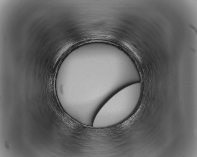 X0000098120875200804040821