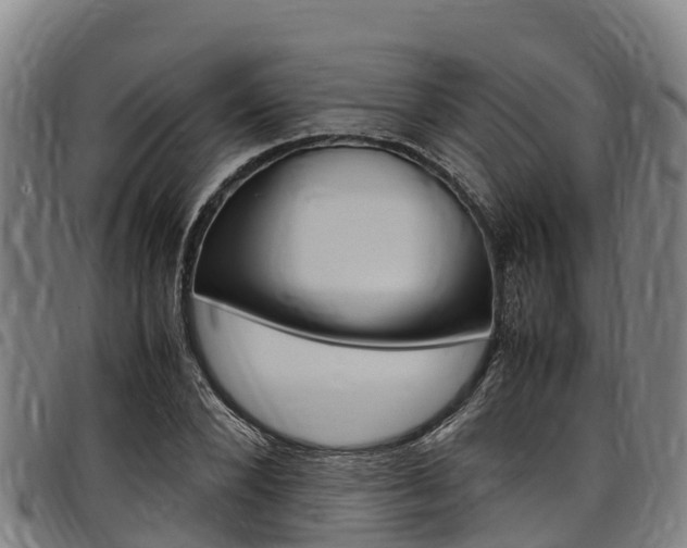 X0000098120880200804040821