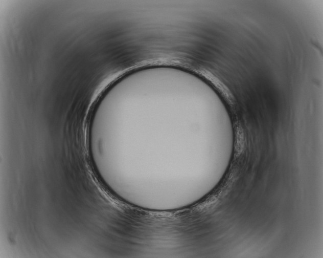X0000098120886200804040821