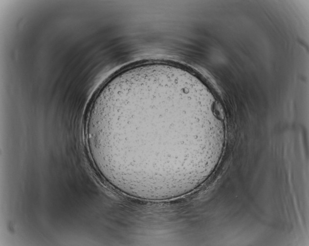 X0000098120887200804040821