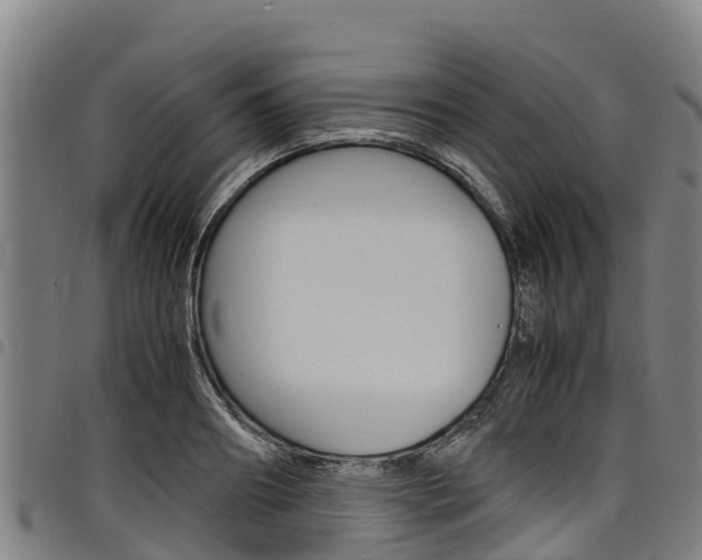 X0000098120890200804040821
