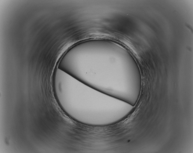 X0000098120891200804040821