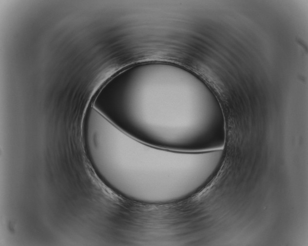 X0000098120892200804040821