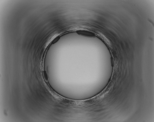 X0000098120893200804040821